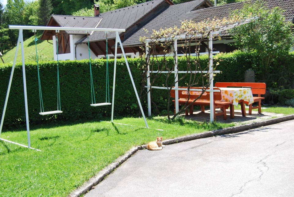 Children play ground, Garden