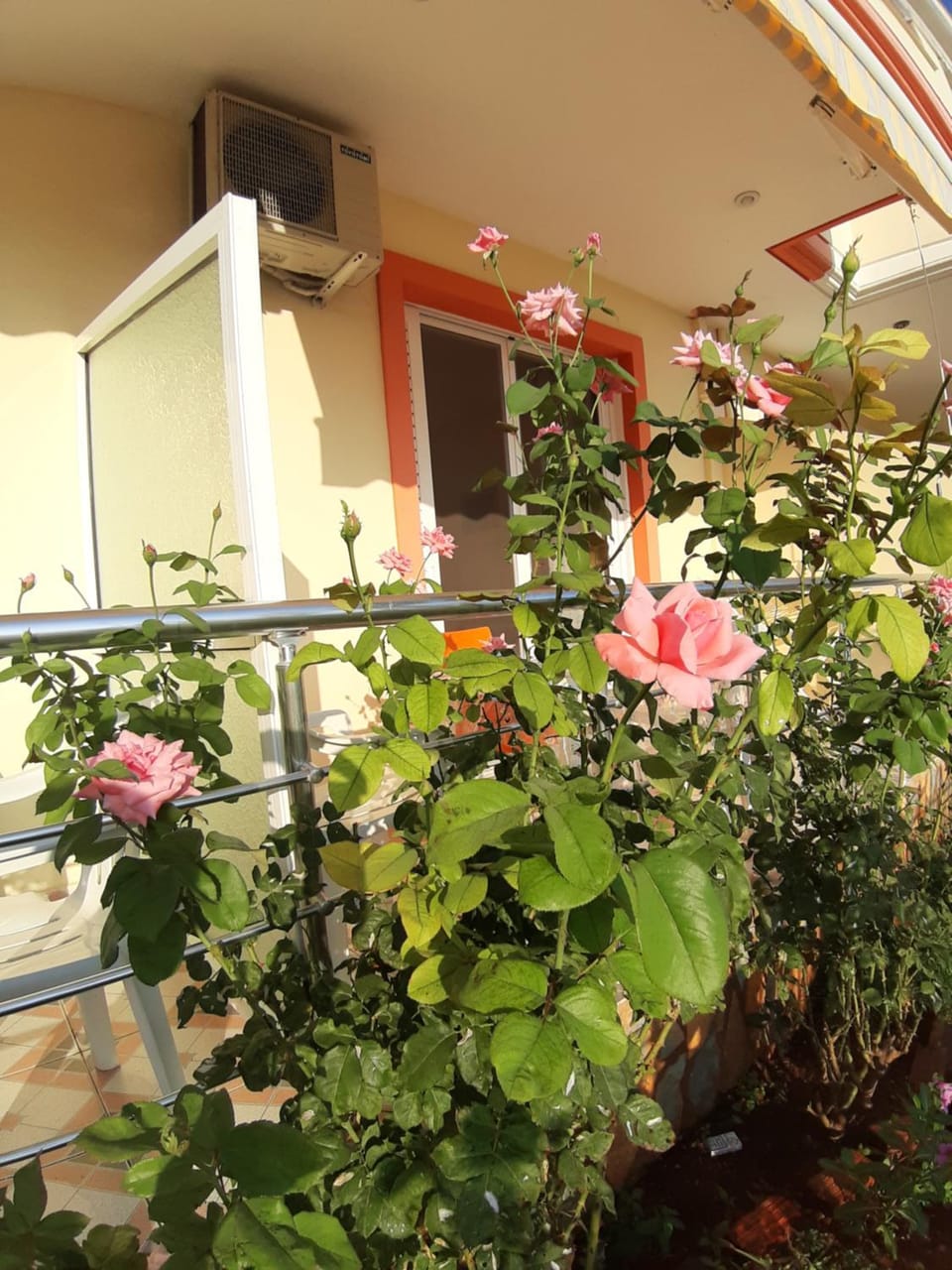 Adriana Apartments Apartment in Vlorë County, Albania
