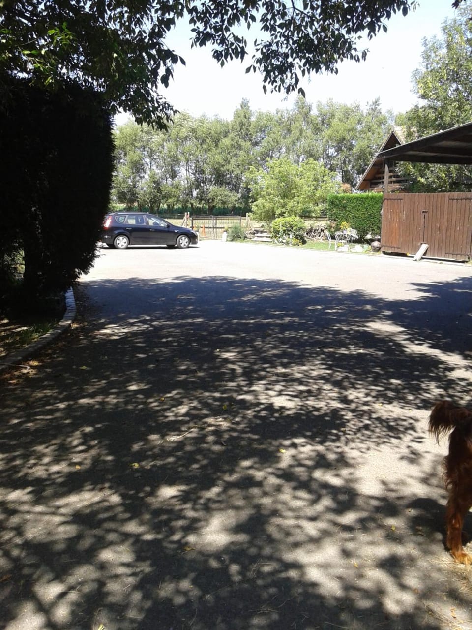 Day, Summer, On site