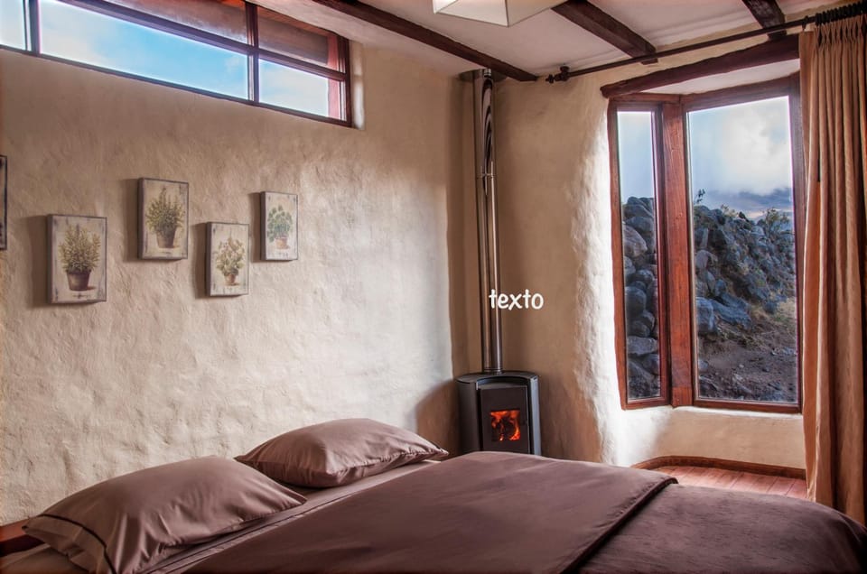 Property building, Bed, Photo of the whole room, Bedroom