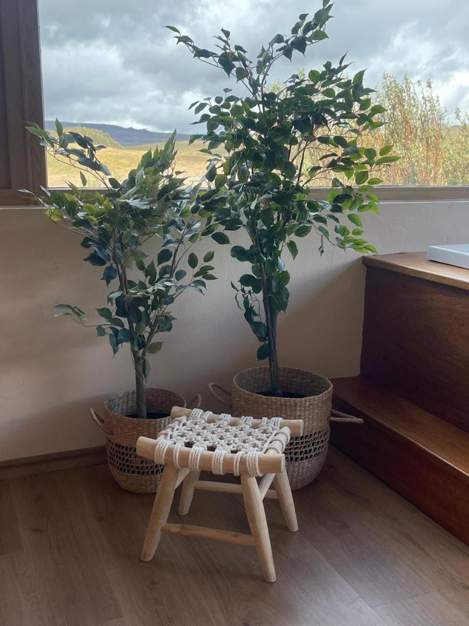 View (from property/room)
