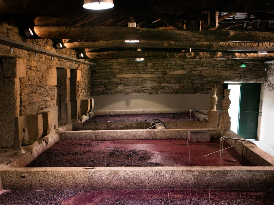 Nearby landmark, Natural landscape, Garden, Library, On-site shops, Balcony/Terrace, Lobby or reception, Banquet/Function facilities, Hiking, Hiking, Communal kitchen, On site, Landmark view, River view, Swimming pool, Lunch, Dinner, Alcoholic drinks