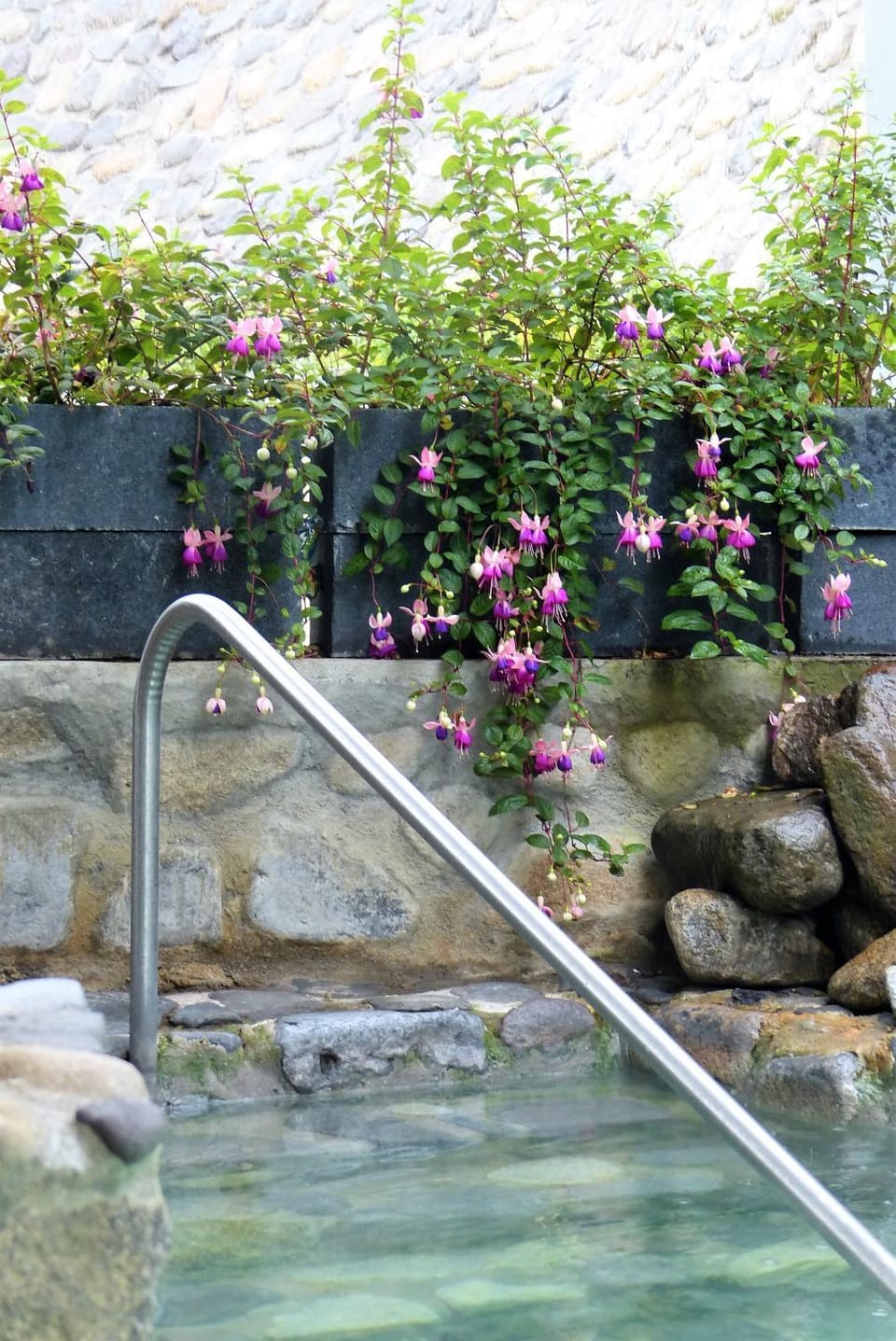 Natural landscape, Swimming pool
