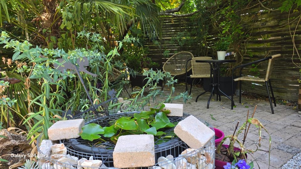 Patio, Restaurant/places to eat, Garden, Balcony/Terrace