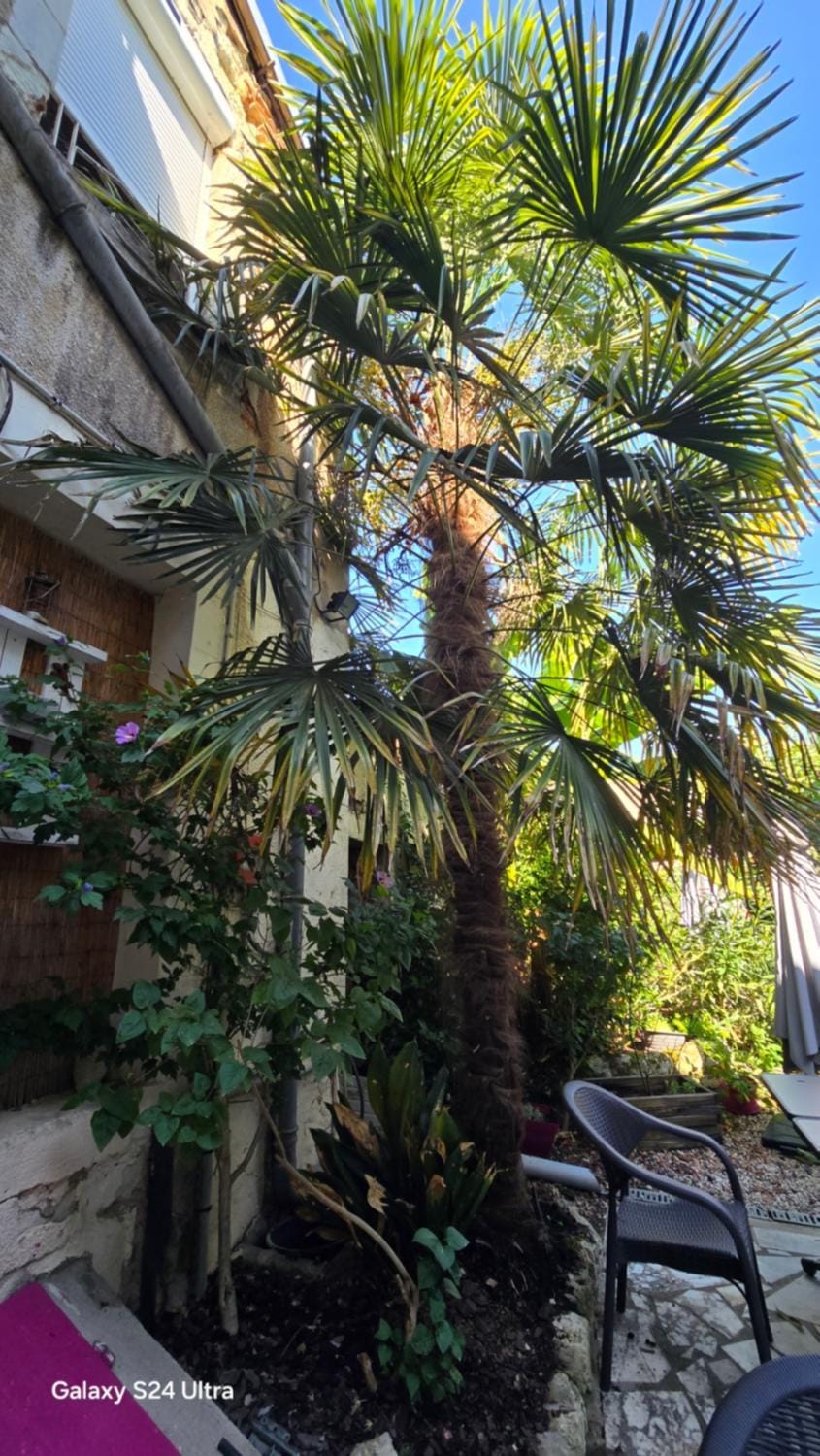 Patio, Restaurant/places to eat, Garden, Balcony/Terrace