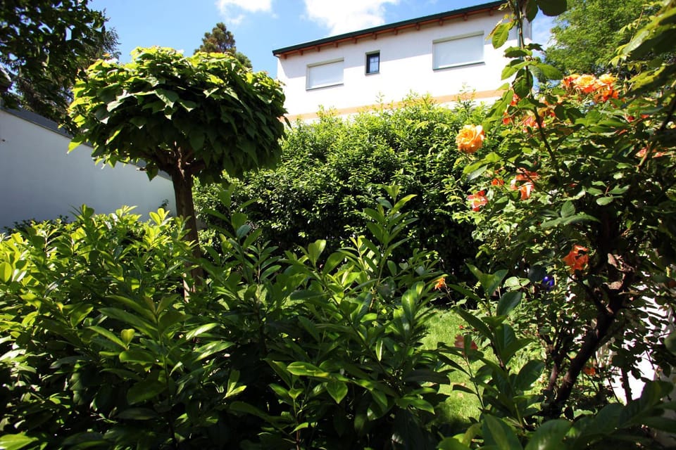 Property building, Garden