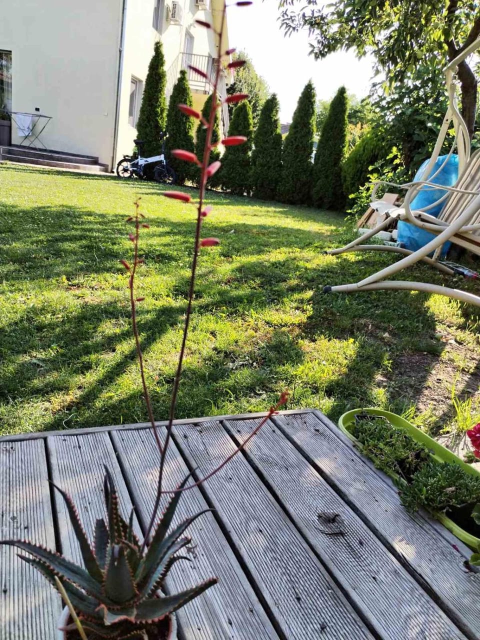 ZEN Apartmani Apartment in Novi Sad