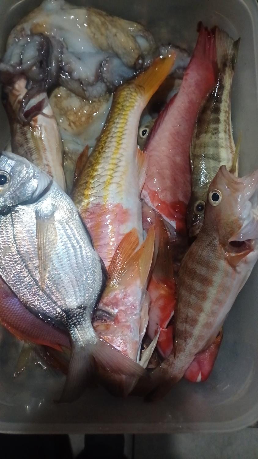 Maxola's Dream Orikum Hotel in Vlorë County, Albania