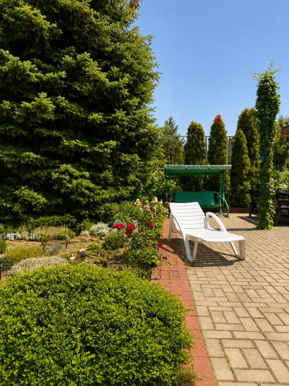 Garden view