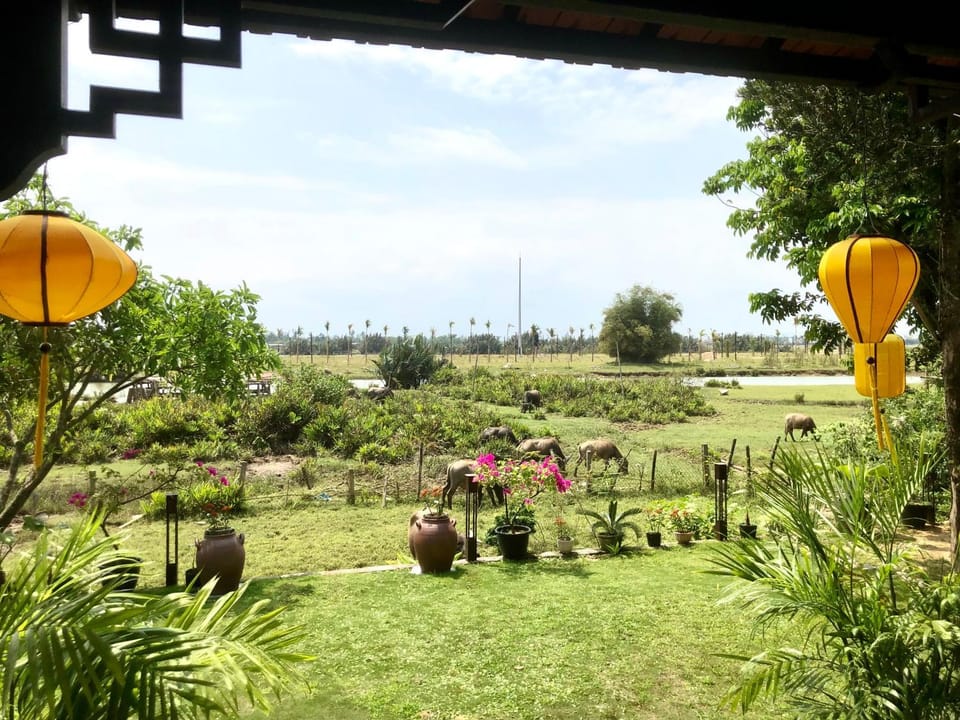 Natural landscape
