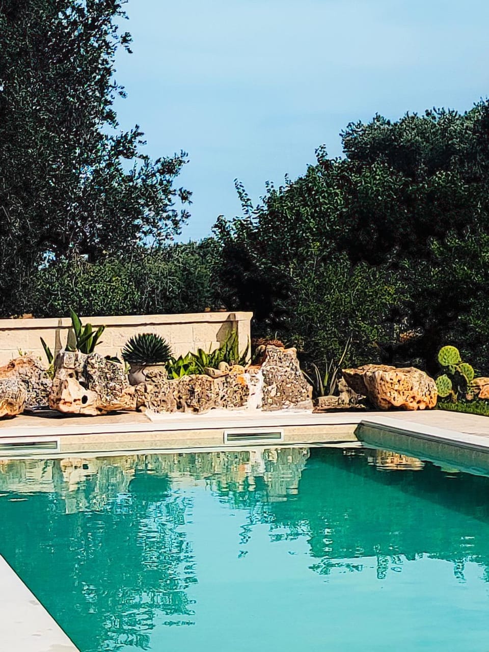 Pool view, Swimming pool
