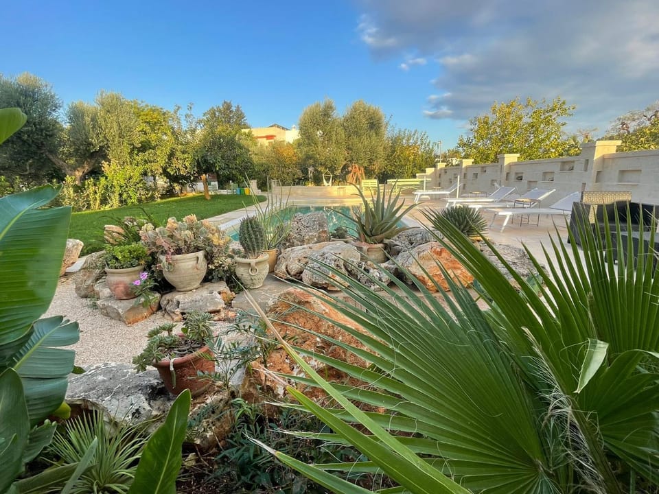 Garden, Swimming pool