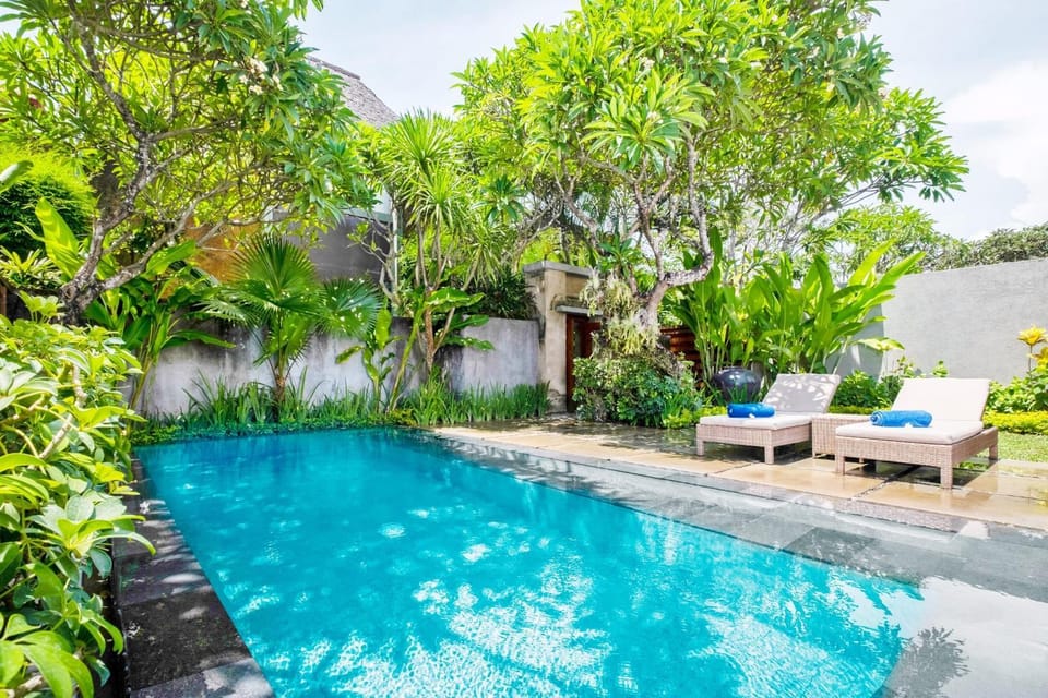 Spring, Day, Garden, Garden view, Pool view, Swimming pool, sunbed