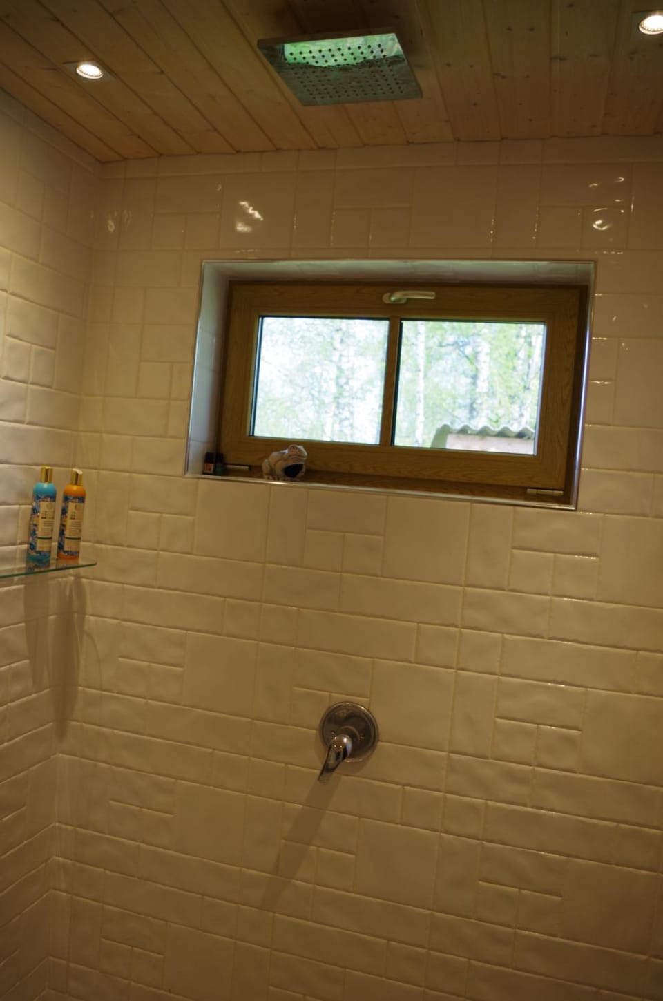 Shower, Bathroom, Photo of the whole room
