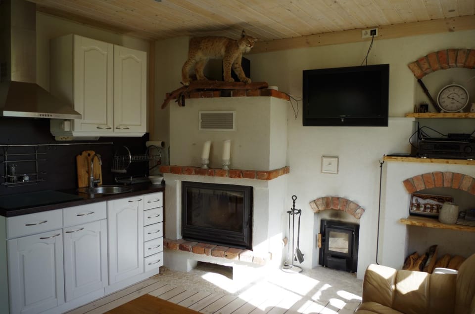 TV and multimedia, Kitchen or kitchenette, Living room, Photo of the whole room, flat iron, minibar, stove