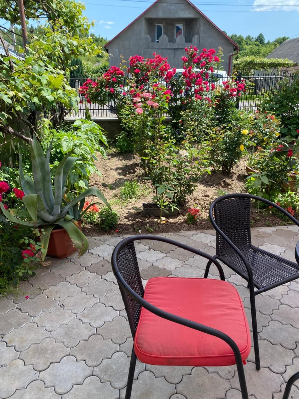 Guest House in Drachino Bed and Breakfast in Ukraine