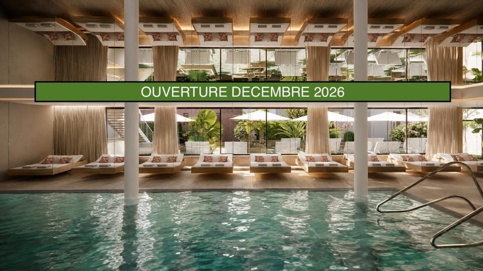 Hôtel Restaurant Vaillant -ouverture Spa de 1200m2 décembre 2026 Hotel in Sélestat