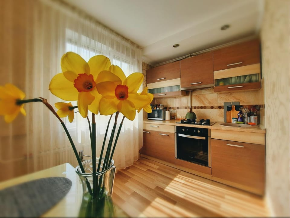 Kitchen or kitchenette, stove