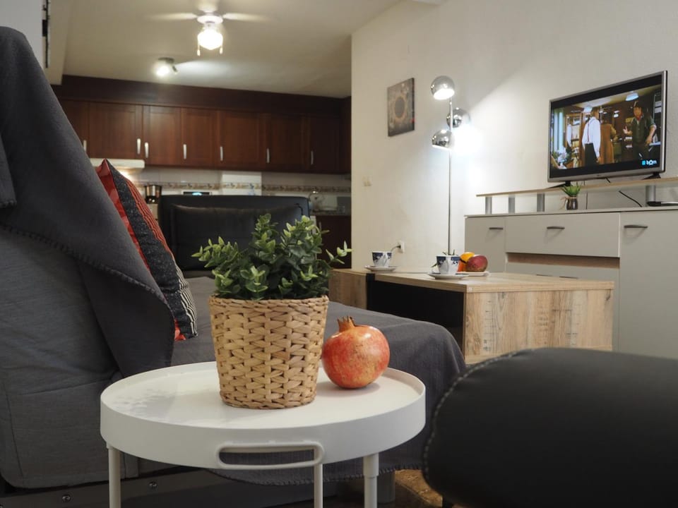 Diskover Pintor Gisbert Apartment in Alicante