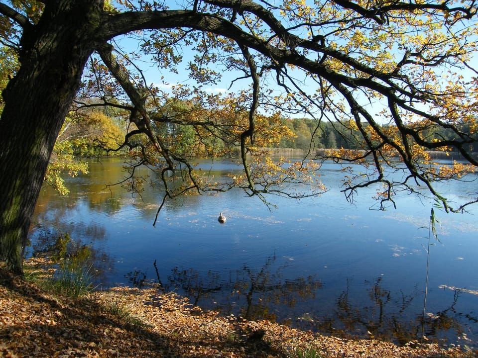 Natural landscape, Area and facilities