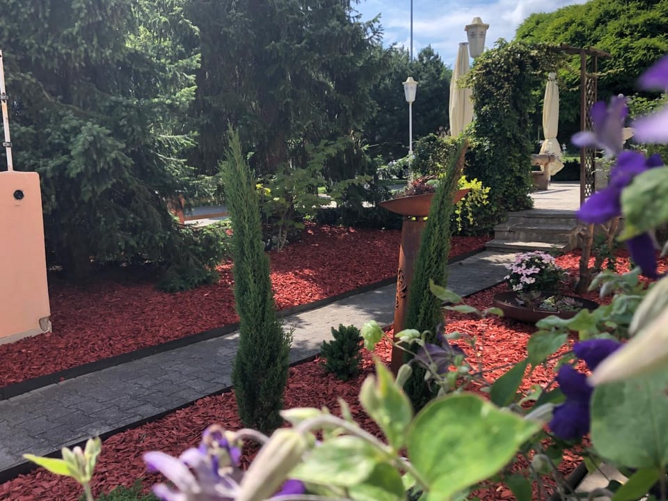 Natural landscape, Garden view