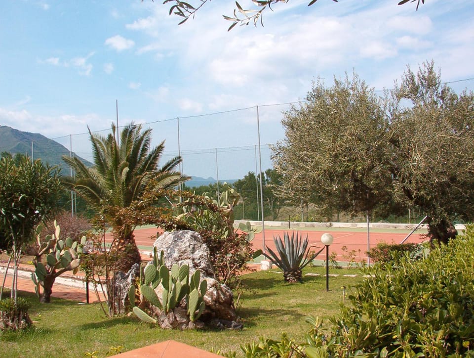 Natural landscape, Garden, Garden view