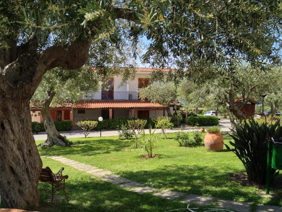 Natural landscape, Garden view