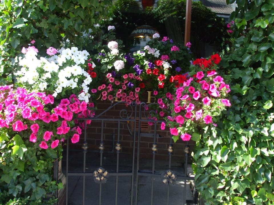 Summer