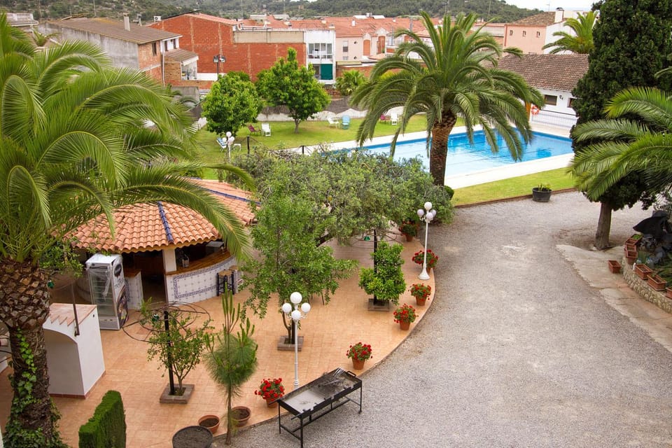 Bird's eye view, Garden view