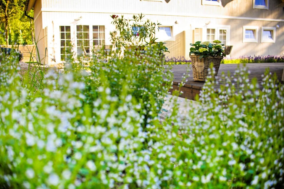 Spring, Day, Natural landscape, Garden, Garden view