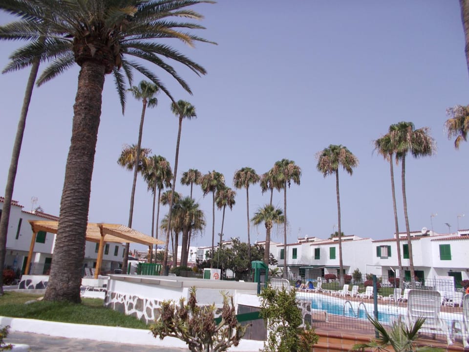 Garden, Swimming pool