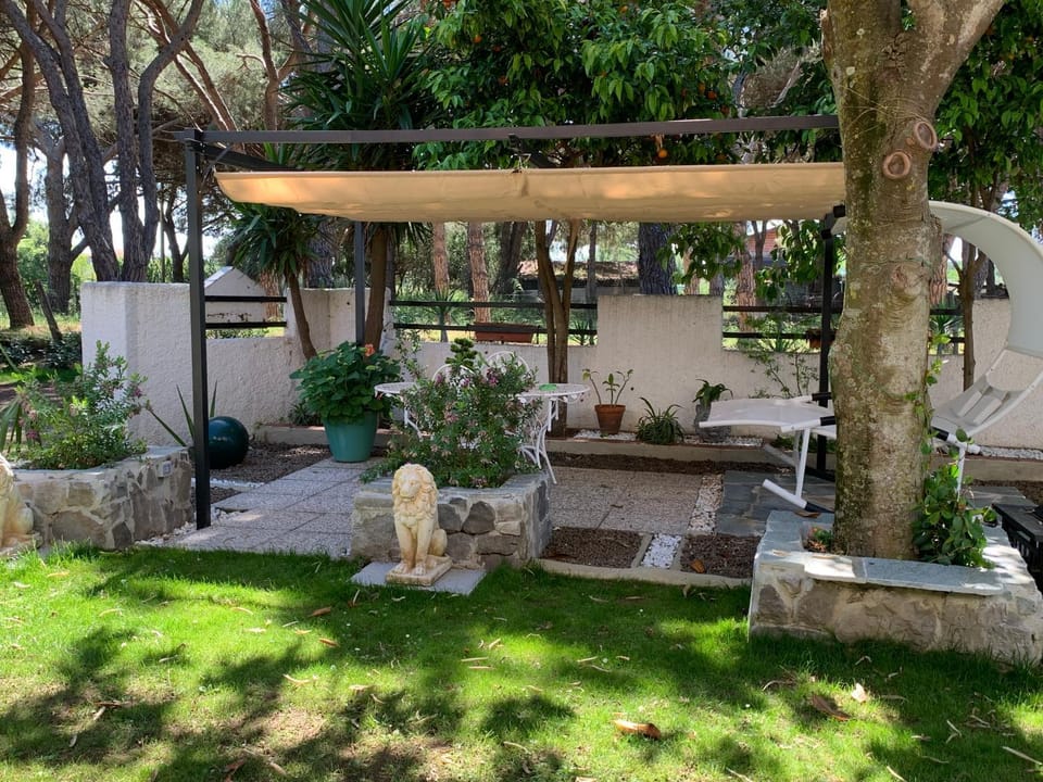 Day, Garden, Garden view