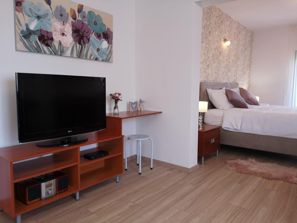 TV and multimedia