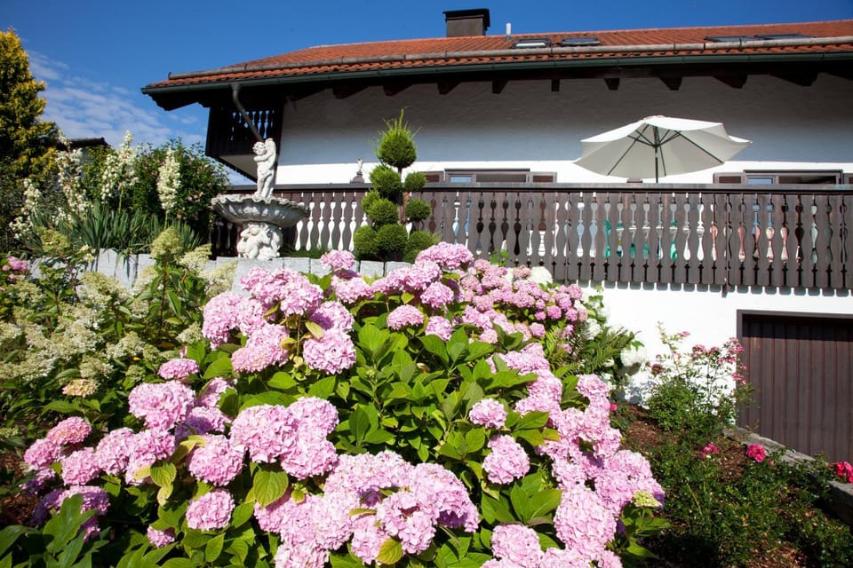 Property building, Garden, On site