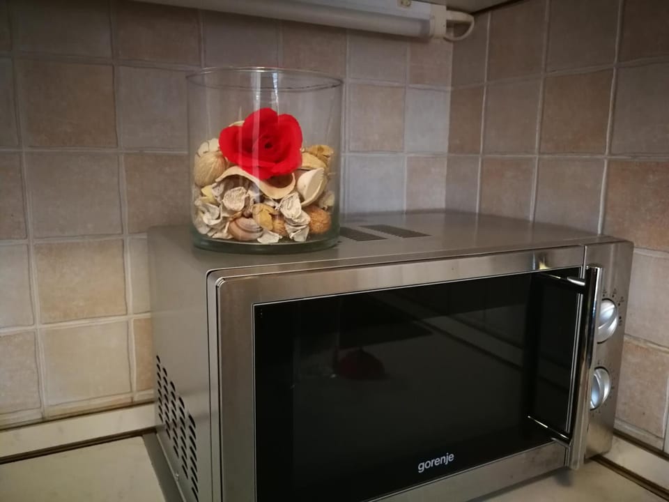 Apartma Vojkovo Apartment in Slovenia