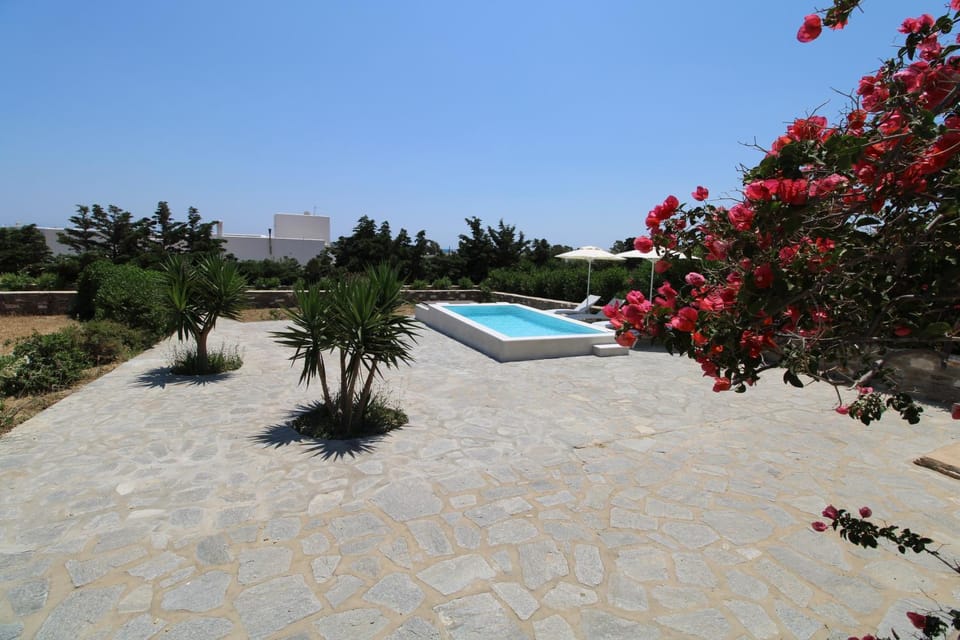 Day, Garden, Garden view, Swimming pool