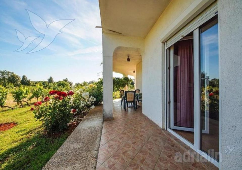 Patio, Balcony/Terrace