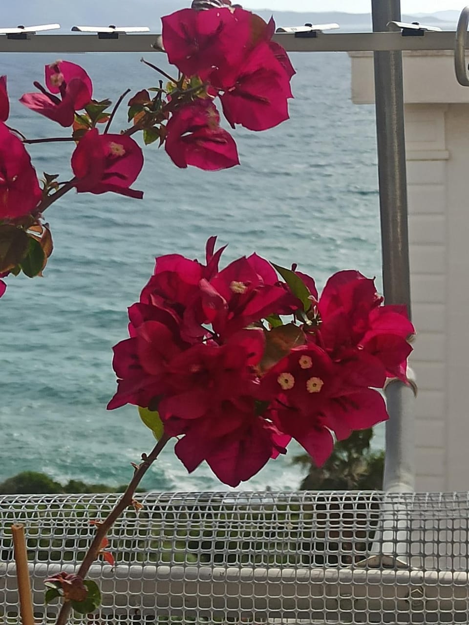 Jelena's Luxury Apartments Apartment hotel in Sarandë