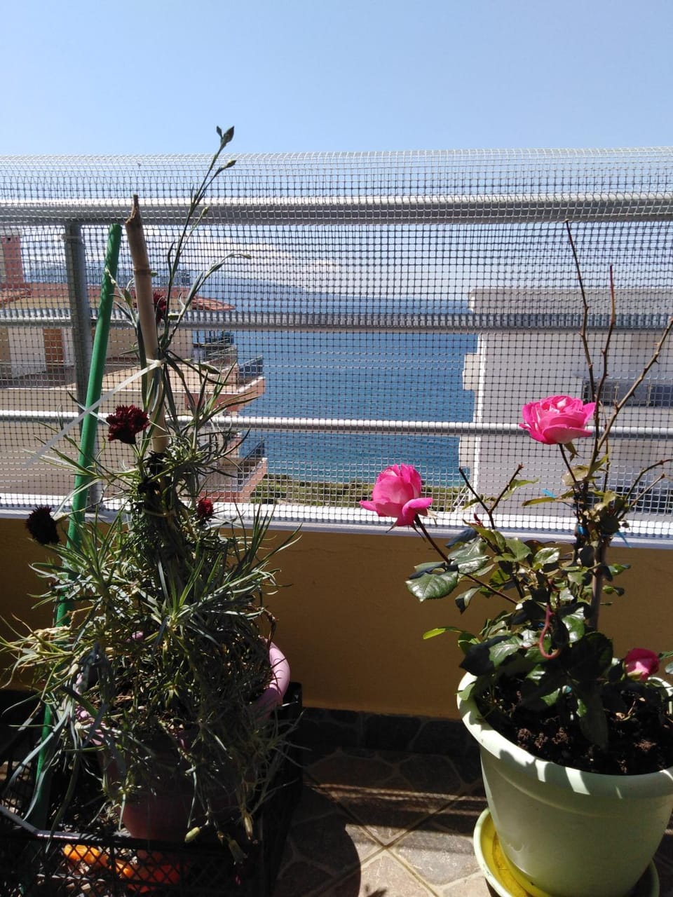 Balcony/Terrace, Sea view