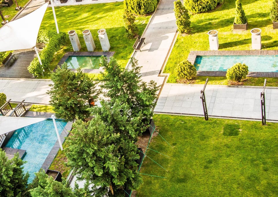 Day, Natural landscape, Garden