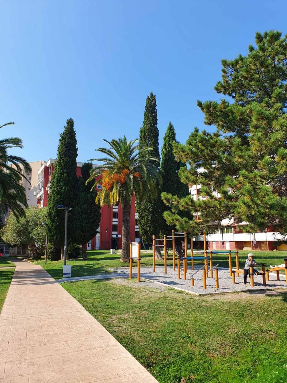Apartment Oleander Apartment in Budva