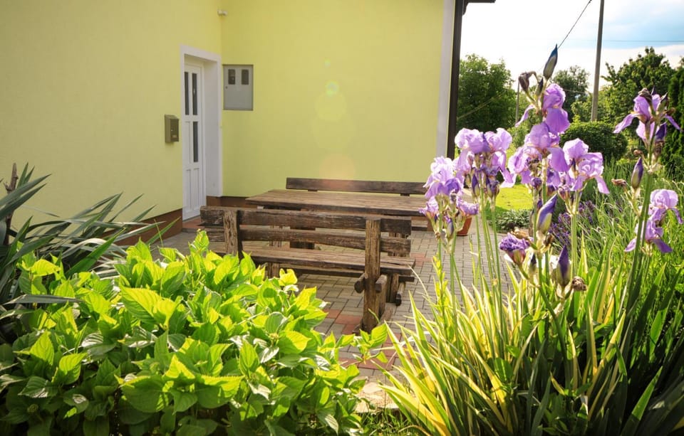 Patio, Facade/entrance, Spring, Off site, Day, Neighbourhood, Natural landscape, Garden