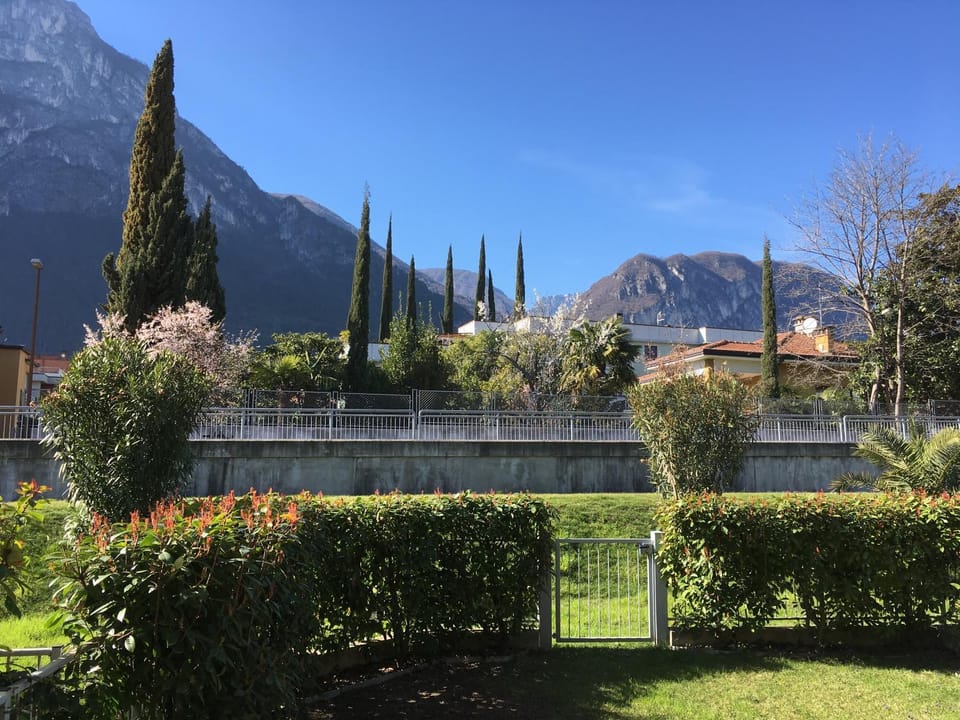 Garden, Garden view