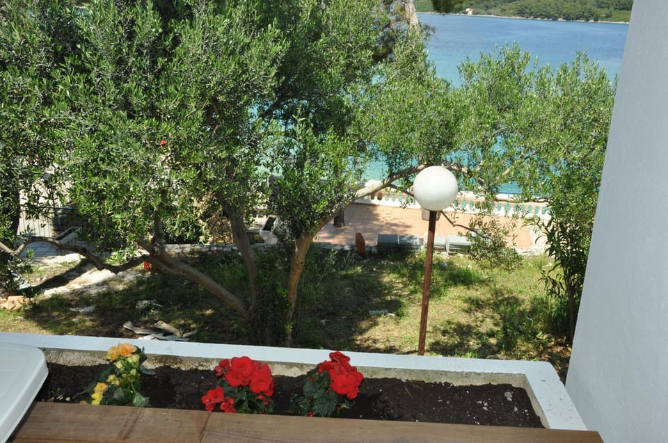 Neighbourhood, Natural landscape, Beach