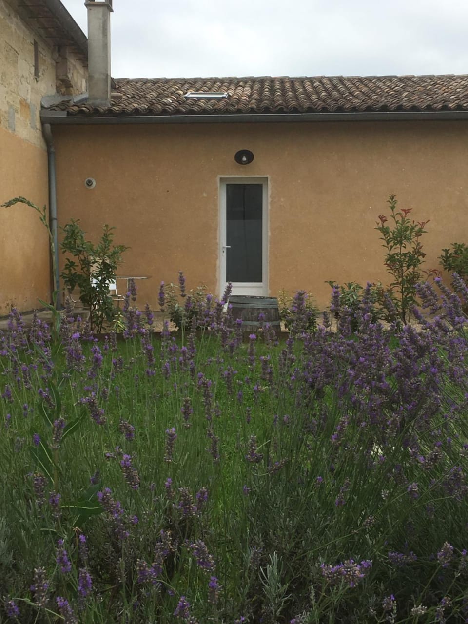 Gite Brandet Savignac House in Nouvelle-Aquitaine