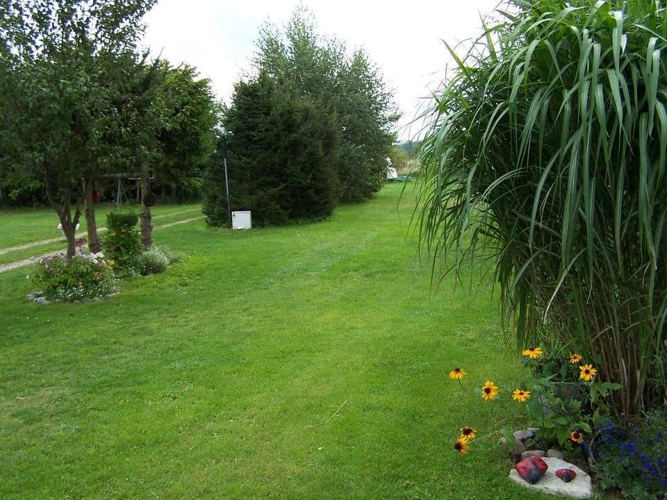 Area and facilities
