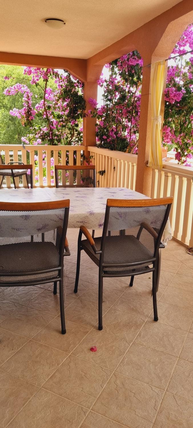 Apartment Sofia Apartment in Biograd na Moru