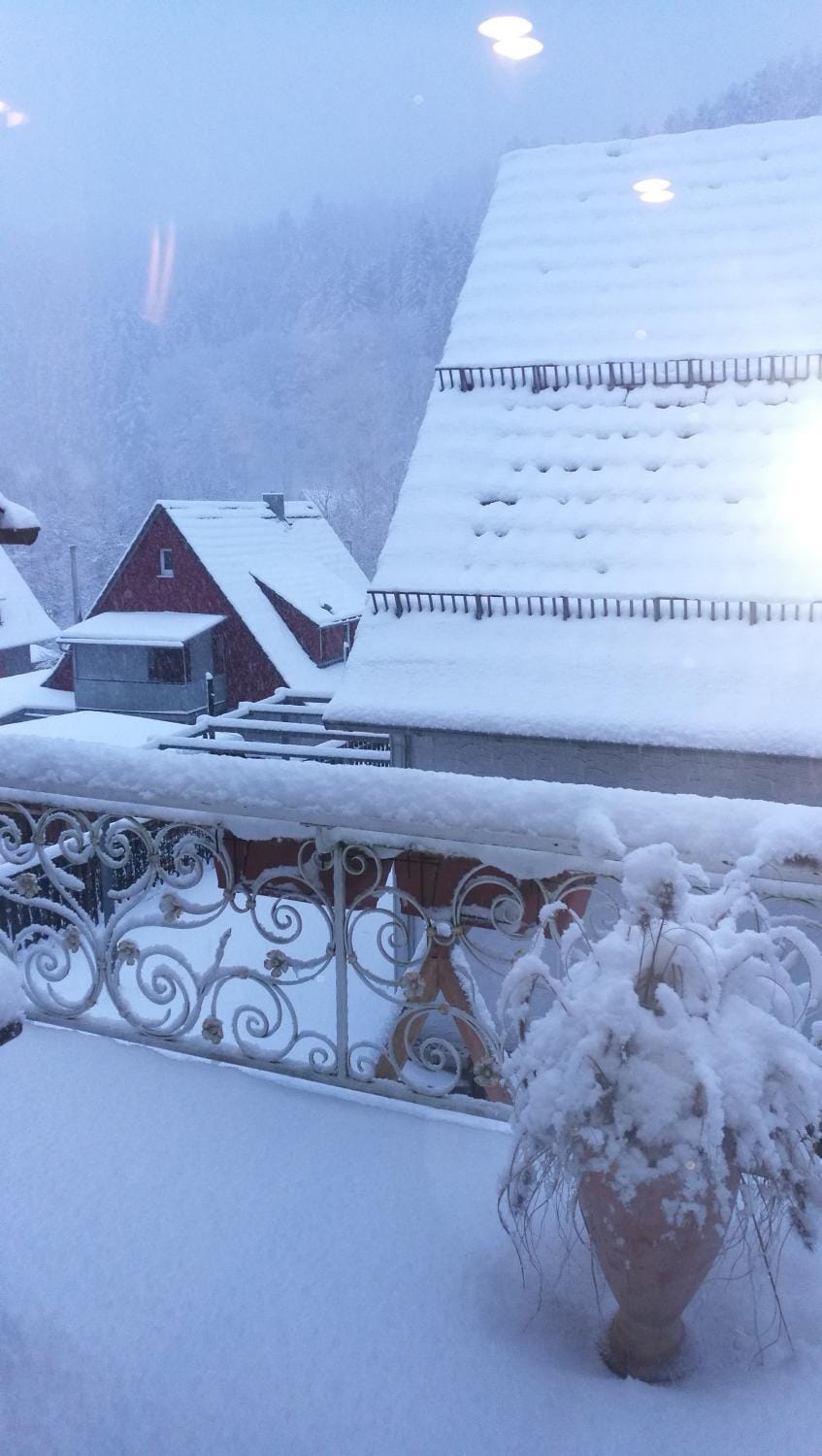 Winter