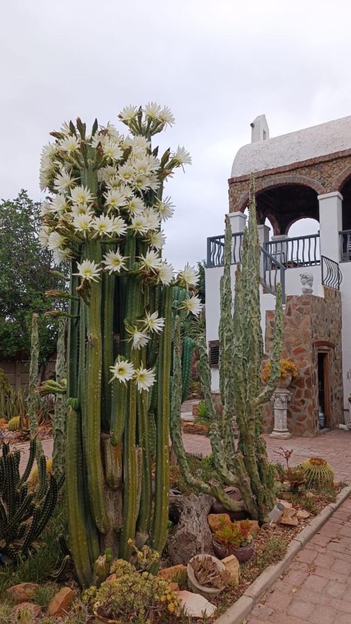 Villa Contessa Bed and Breakfast in Western Cape