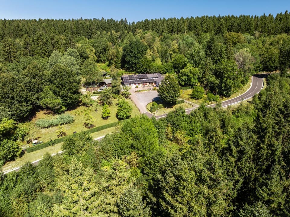 Bird's eye view, Location